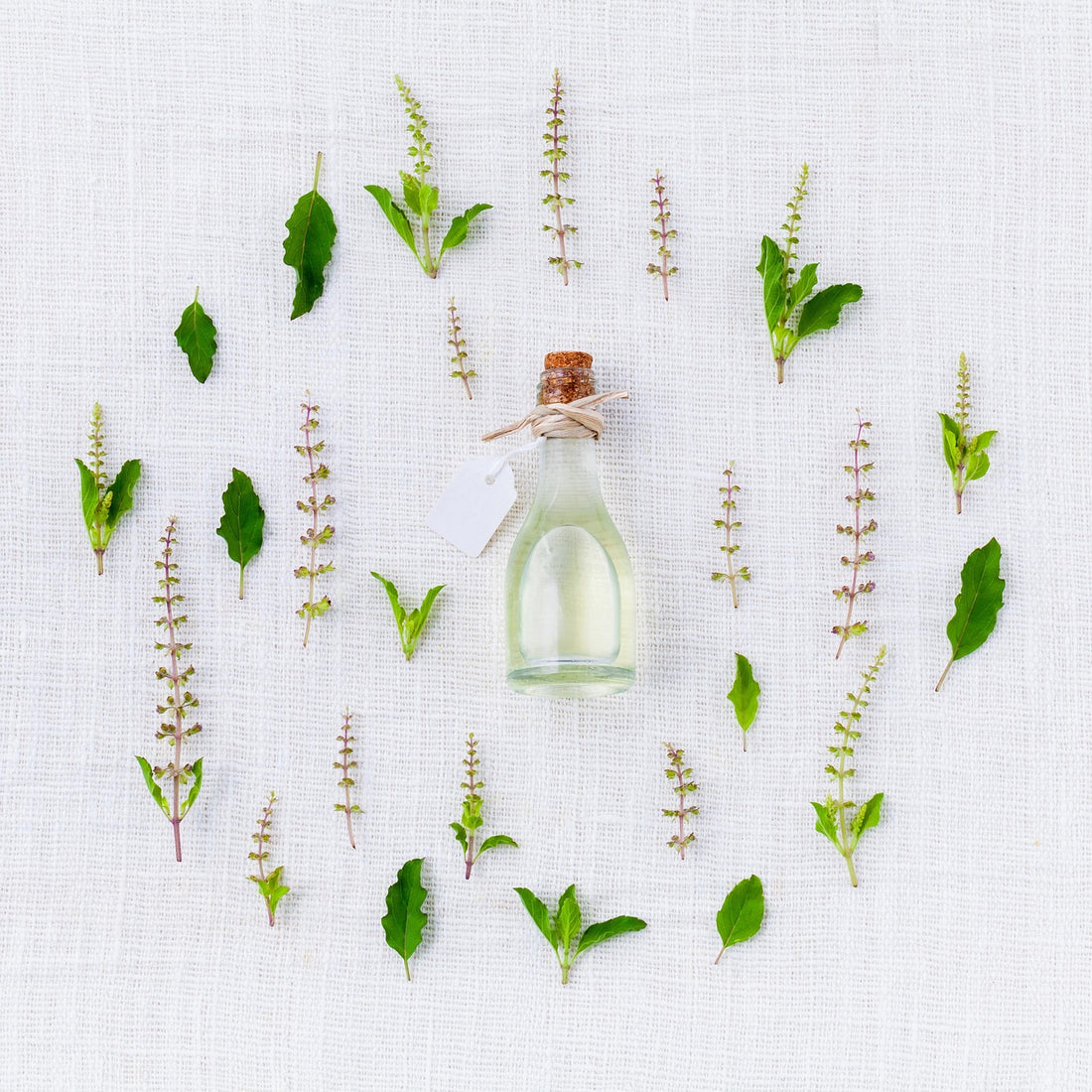 Unlocking the Allure of Perfume Oils: A Fragrance Journey